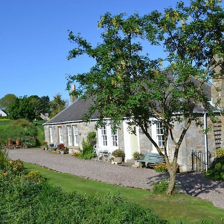 Balmungo Cottage B&B St Andrews Kültér fotó