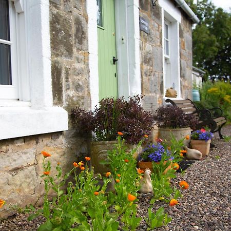 Balmungo Cottage B&B St Andrews Kültér fotó