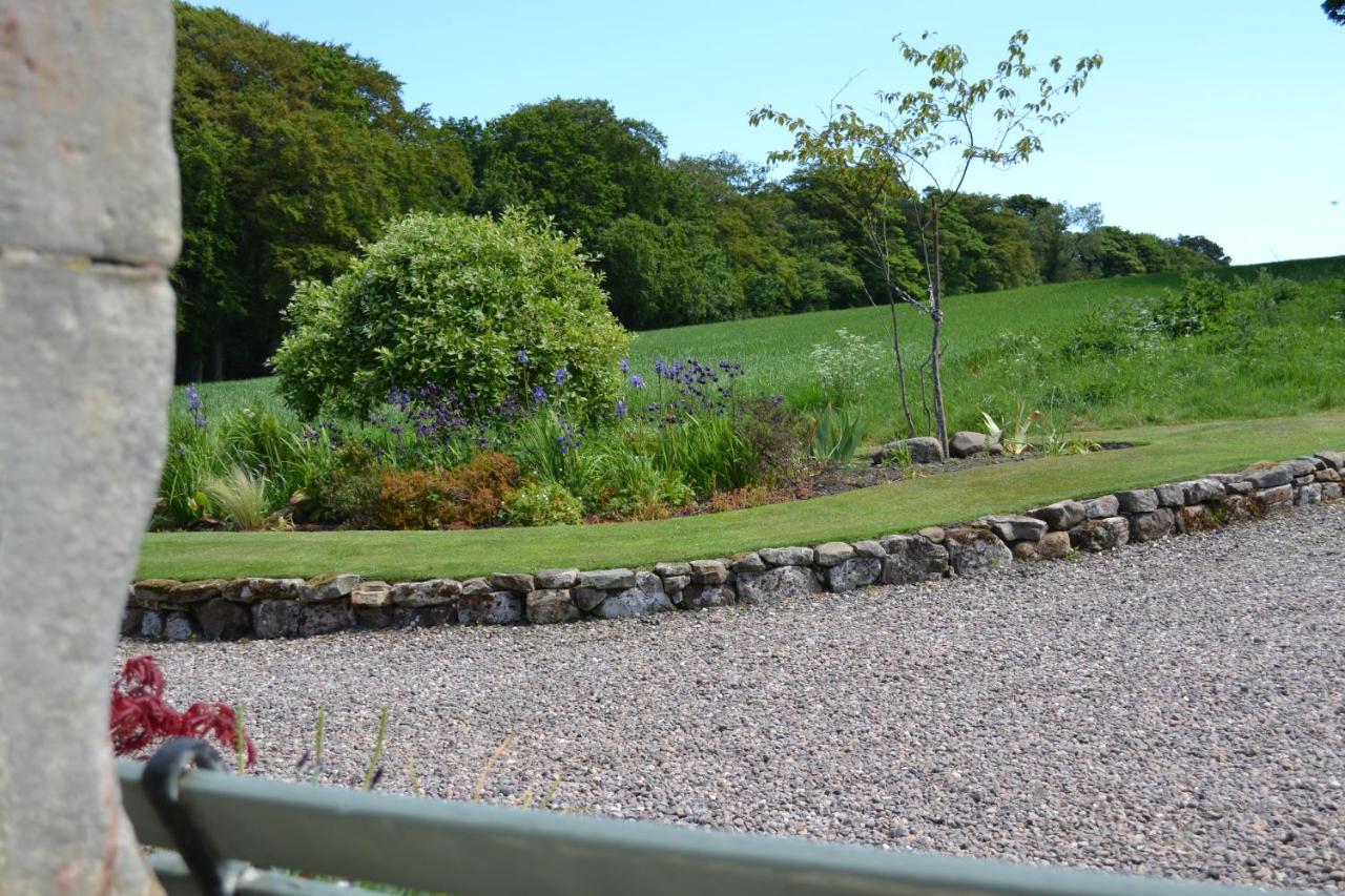 Balmungo Cottage B&B St Andrews Kültér fotó