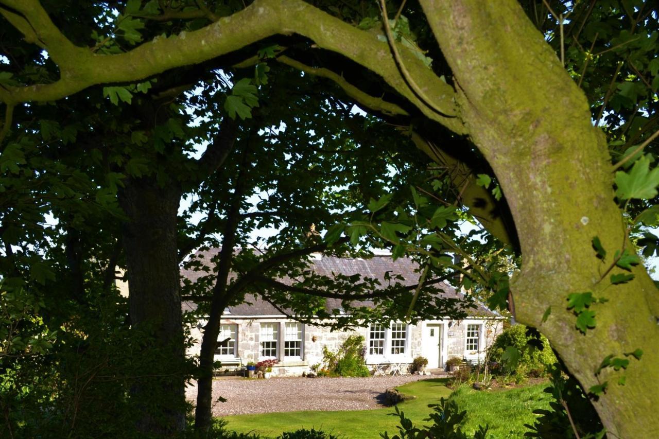 Balmungo Cottage B&B St Andrews Kültér fotó