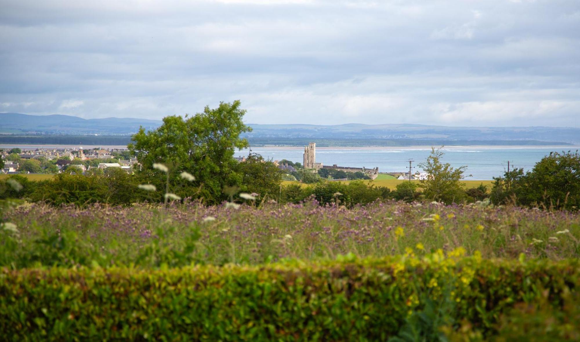 Balmungo Cottage B&B St Andrews Kültér fotó