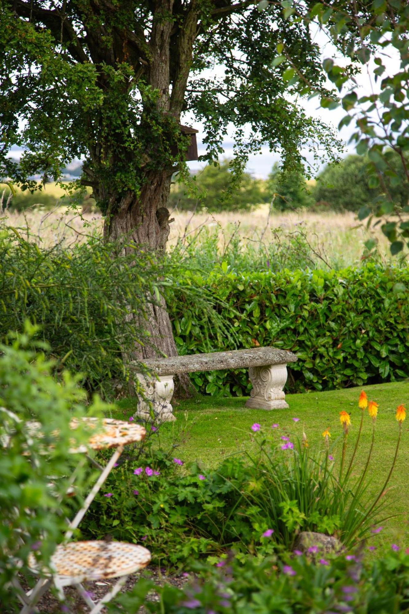 Balmungo Cottage B&B St Andrews Kültér fotó