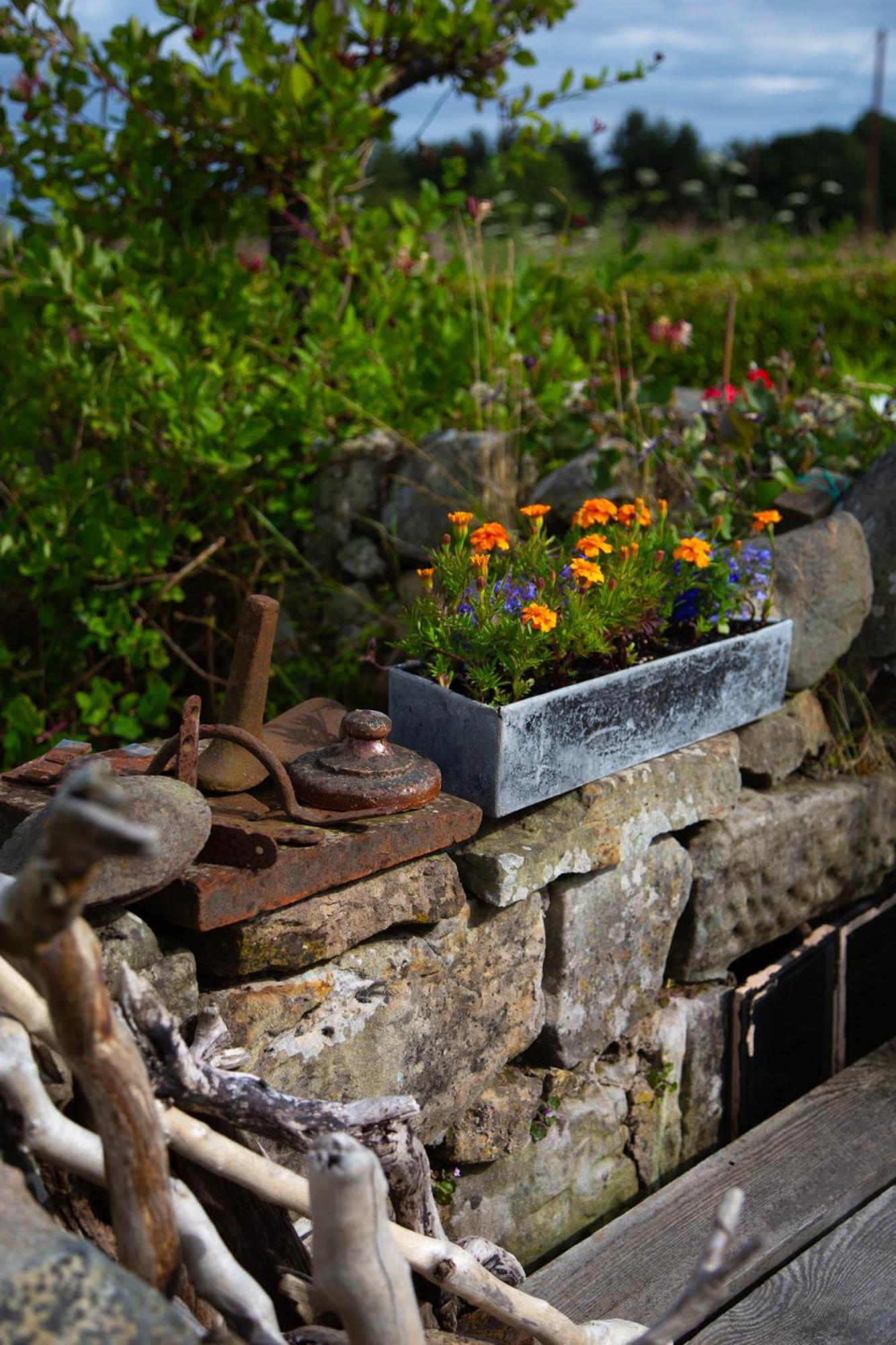 Balmungo Cottage B&B St Andrews Kültér fotó