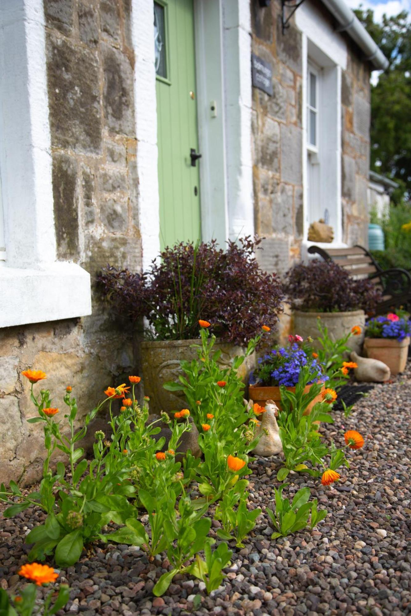 Balmungo Cottage B&B St Andrews Kültér fotó