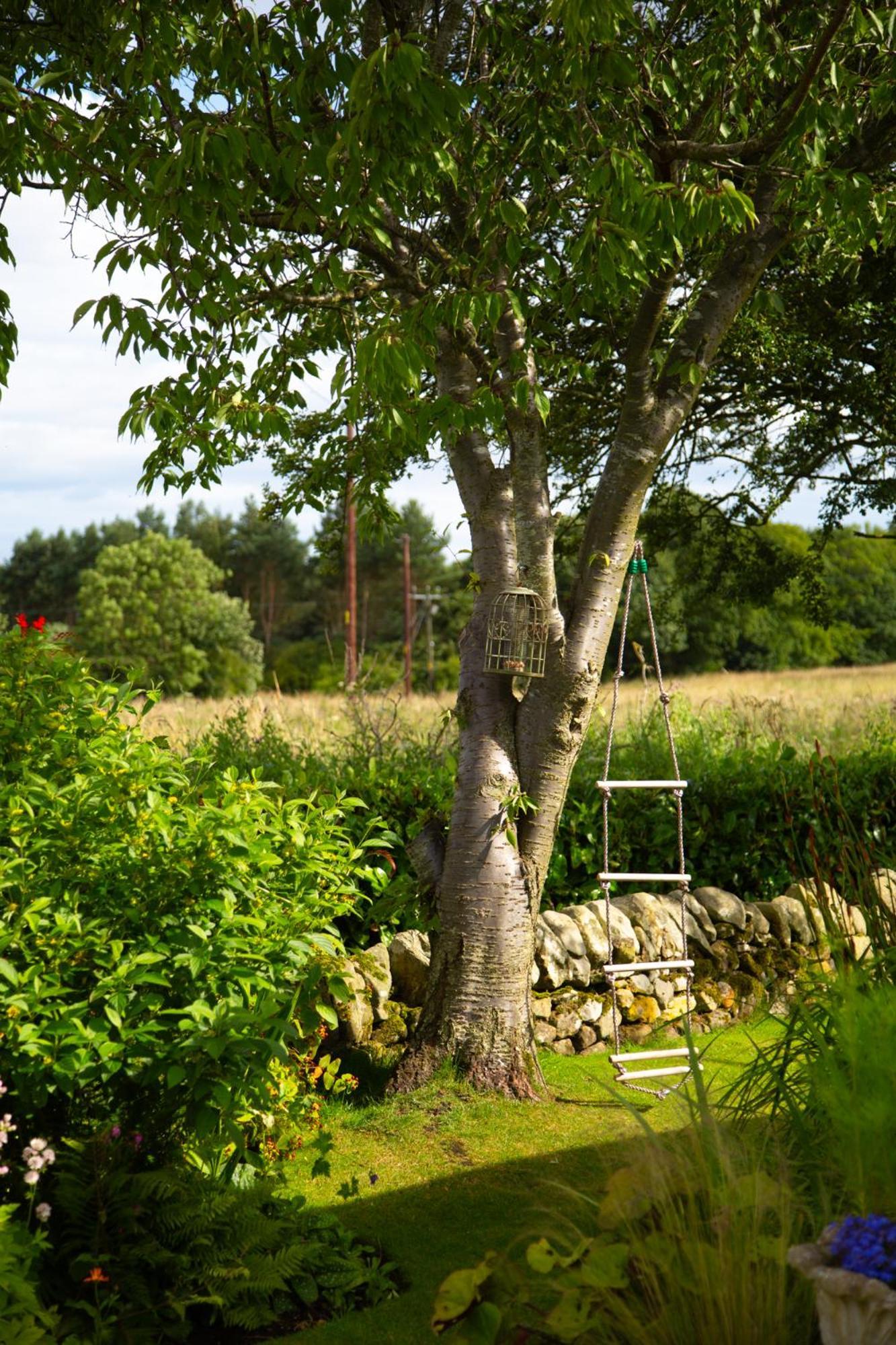 Balmungo Cottage B&B St Andrews Kültér fotó