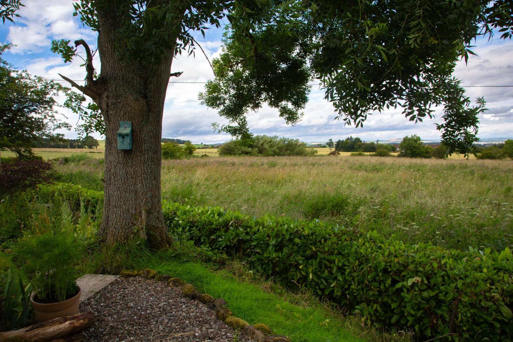 Balmungo Cottage B&B St Andrews Kültér fotó