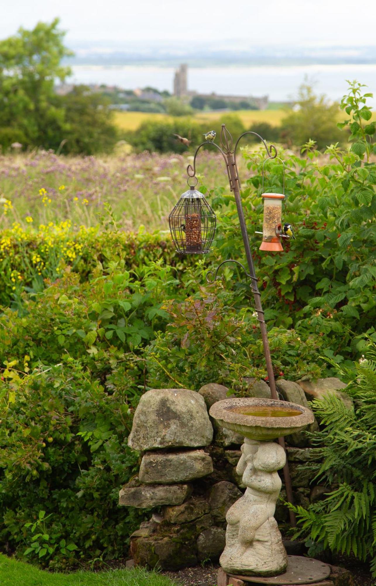 Balmungo Cottage B&B St Andrews Kültér fotó