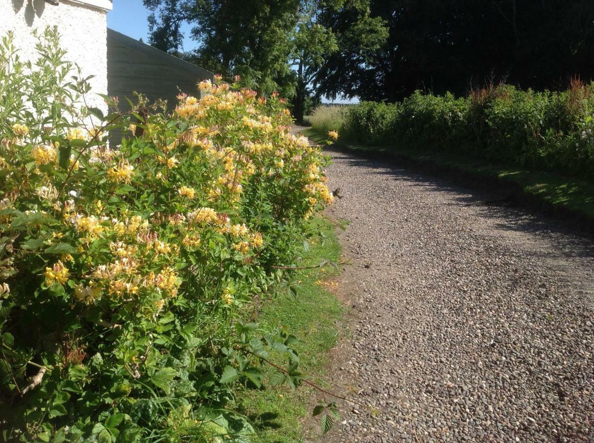 Balmungo Cottage B&B St Andrews Kültér fotó