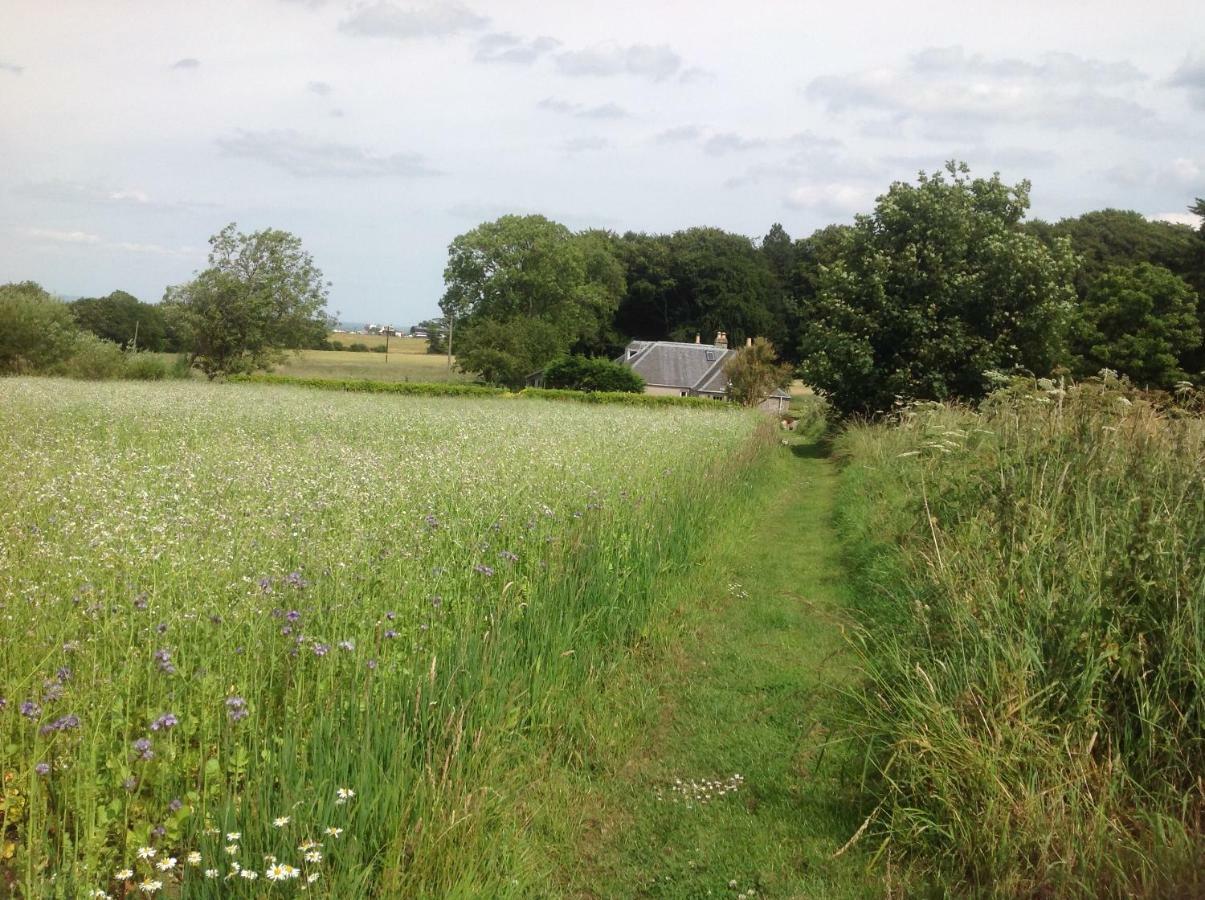 Balmungo Cottage B&B St Andrews Kültér fotó